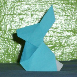 a bunny