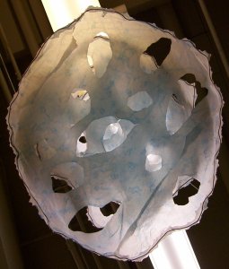 a view from the bottom