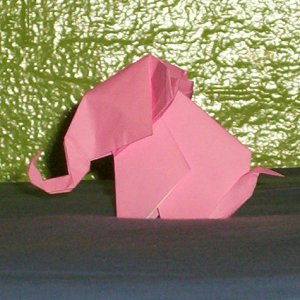 an elephant