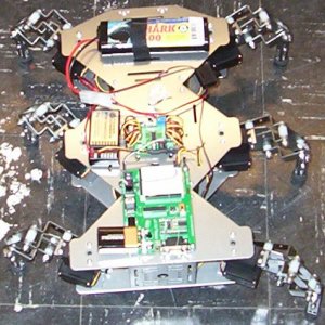 the hexapod