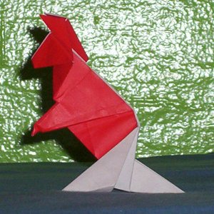a kangaroo