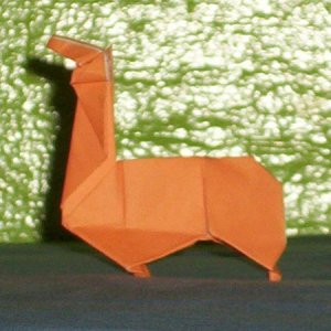 a llama