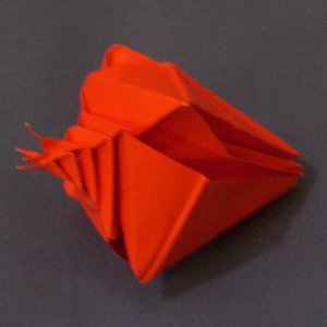 a shell