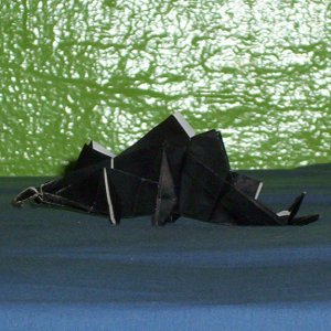 a stegosaurus